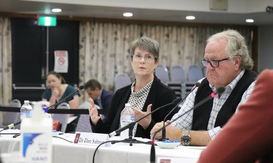 Deniliquin Health Action Group chair Dr Marion Magee said GPs were at a "tipping point" at a NSW parliamentary inquiry. Picture: NSW LEGISLATIVE COUNCIL