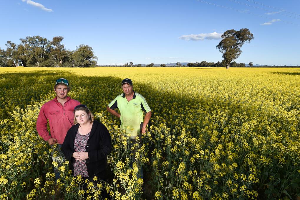 AT RISK: Culcairn farmers Josh, Sharon and Stephen Feuerherdt, say this "valuable agricultural land" should not be replaced to make way for solar panels, as proposed by a company talking with landholders. Pictures: MARK JESSER