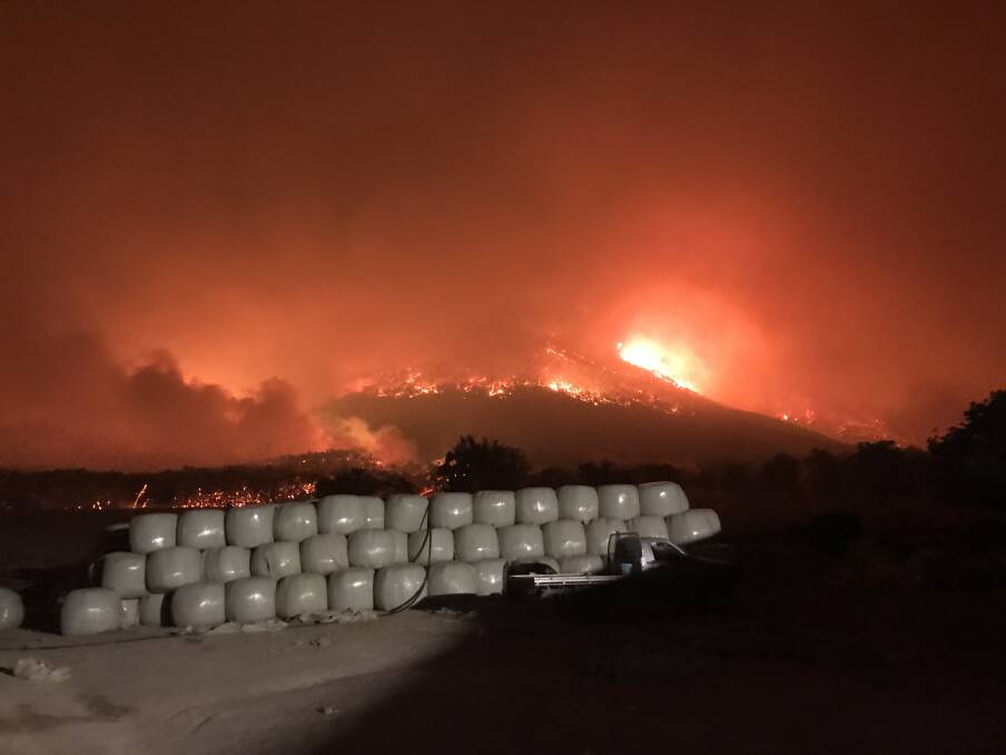 Through good preparation and a strong containment line, the Hills' dairy and cows on Bluff Falls Road were saved, but more than 90 per cent of land was burnt.