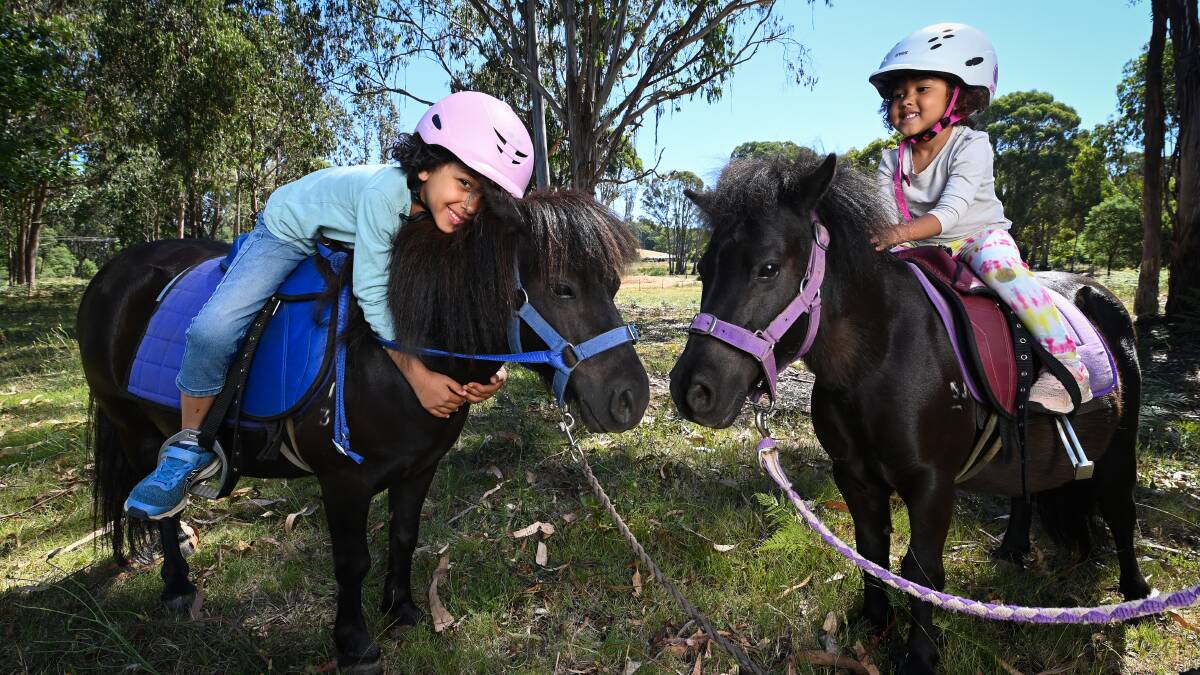 Let virus stop our plans? Neigh! New school holiday fun in Stanley