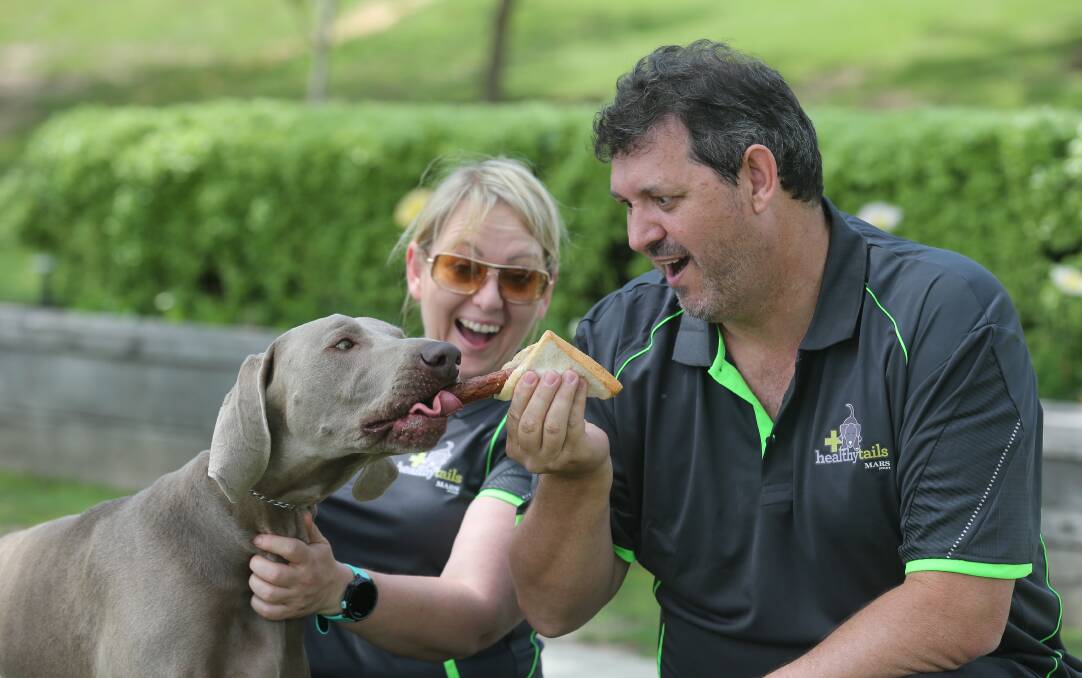 SNAGGED: Anita Fry's dog Gus steals a sausage from her Mars Petcare colleague Kyle Brereton, at a barbecue for Adult Community Health staff and clients, put on at Sumsion Gardens for Mental Health Month. Picture: KYLIE ESLER