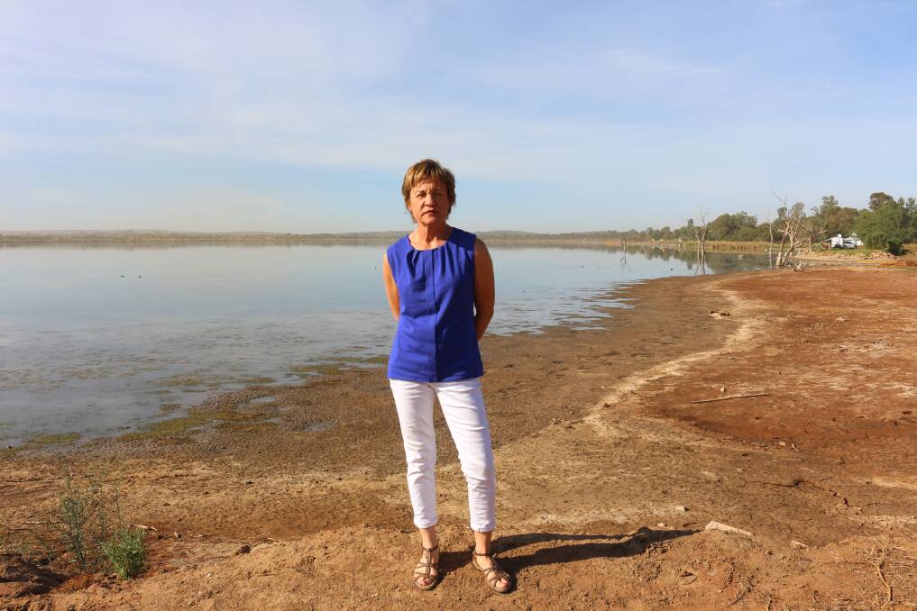 Member for Murray, Helen Dalton, wants to overhaul the legislation around water rights.