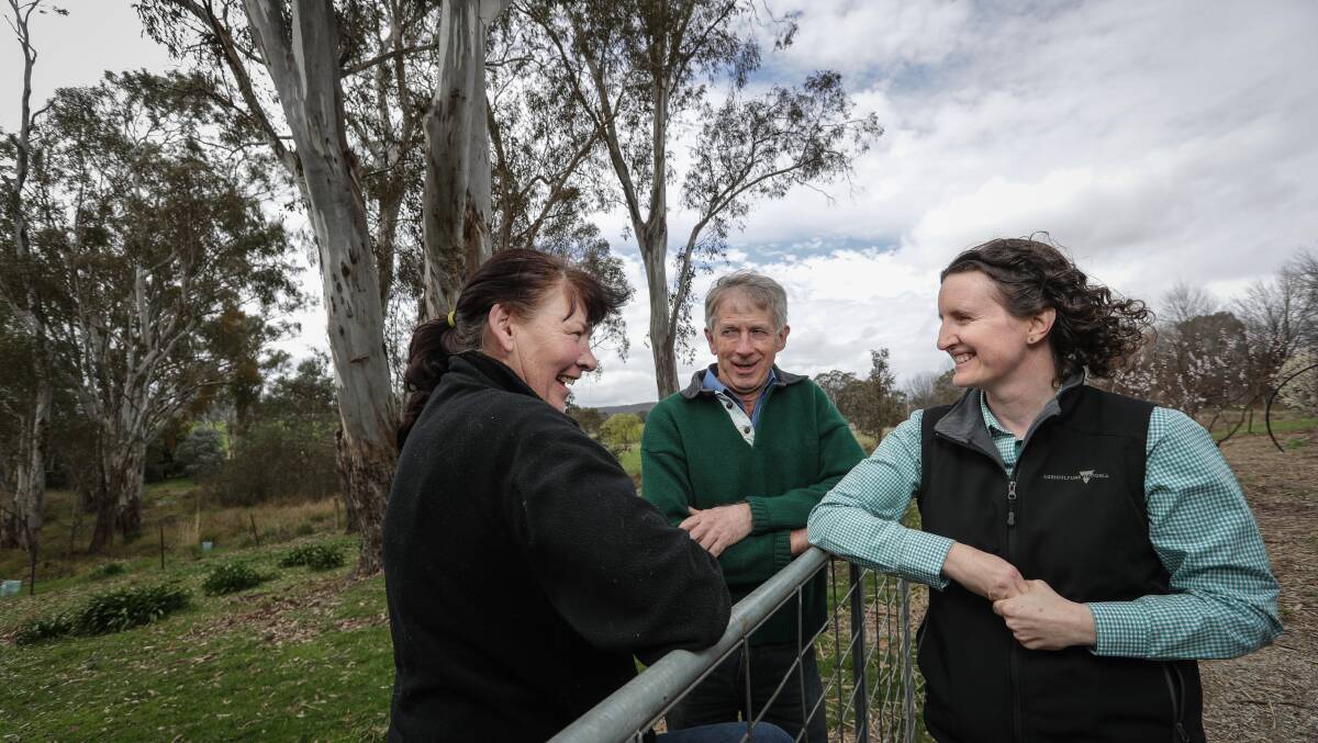 WORKING TOGETHER: Lyn Thomas from Beechworth, Peter Robb from Bobinawarrah and Kylie Macreadie from Agriculture Victoria at the Wooragee field day. Picture: JAMES WILTSHIRE