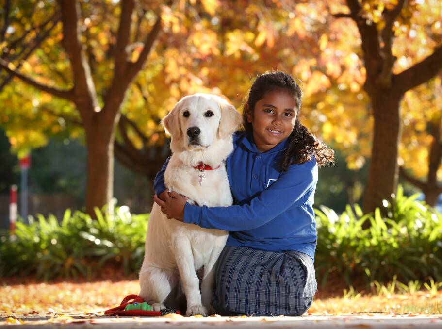 FOUR-LEGGED FRIEND: Thurgoona Public School support dog Sasha with Takeah Williams, 9. A number of North East schools now have dogs. Picture: KYLIE ESLER