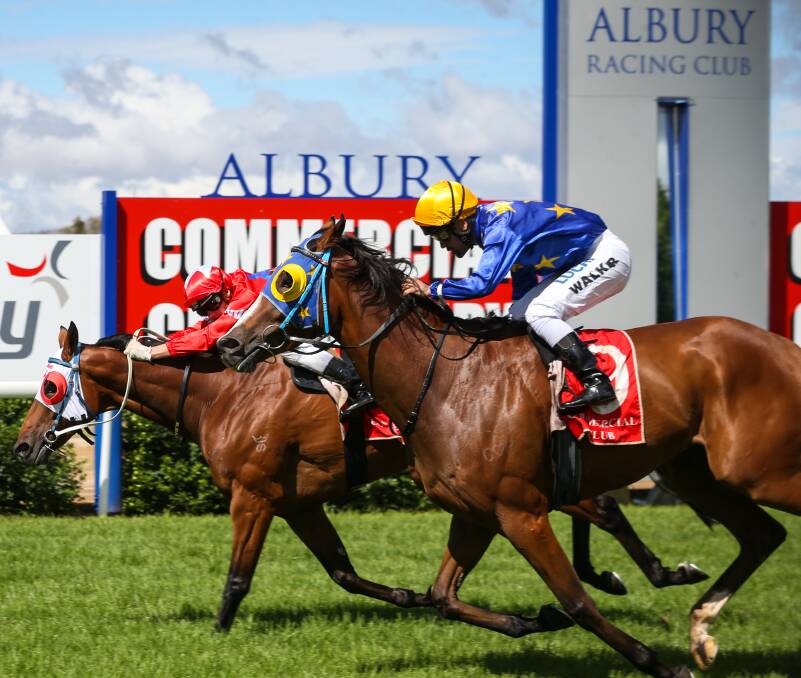 CLOSE CALL: Jockey Reagan Bayliss took the John and Chris Ledger-trained Justiceforall to victory by a nose in the Adrian Ledger Memorial, named after their late brother. Picture: JAMES WILTSHIRE