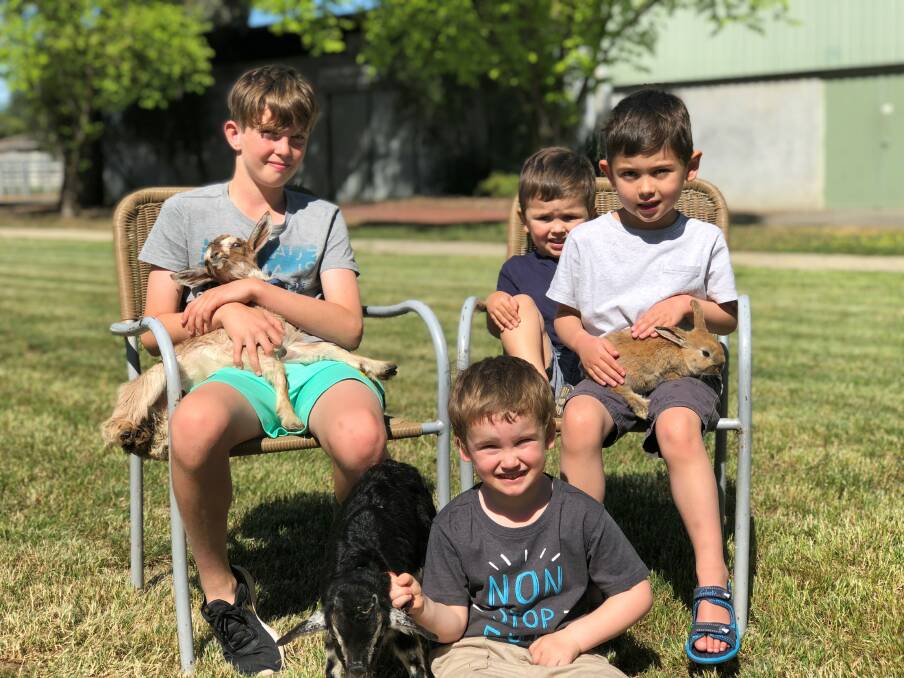 FURRY FRIENDS: Oliver Keene, Hayden McNamara, Chad McPherson and Cooper McNamara with some of the animals children can meet on Sunday. Picture: SUPPLIED