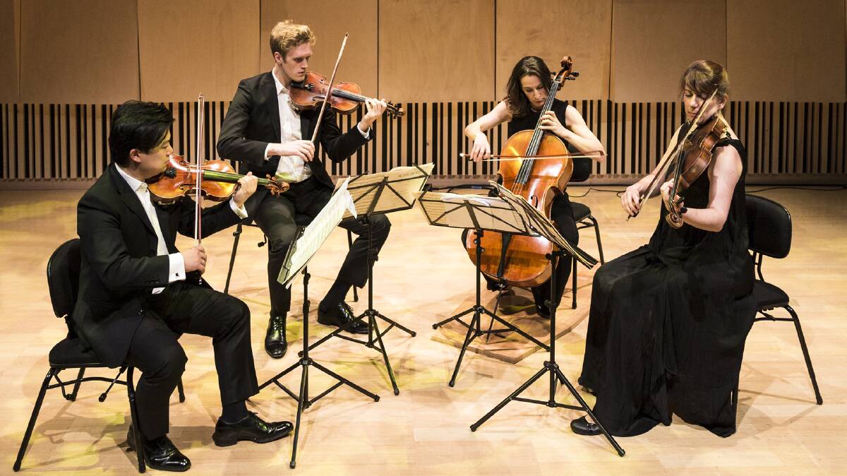 CLASSY QUARTET: The Flinders Quartet will be one of the main acts to see at the Albury Chamber Music Festival. Picture: PIA JOHNSON