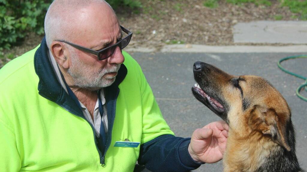 Saving lives for a decade at Wodonga Dog Rescue