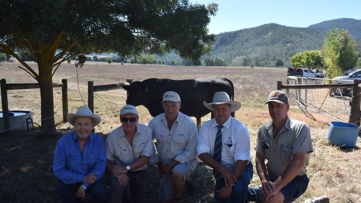 Alpine Angus team Suzy Martin, Jim Delany Chris Oswin, with Michael Glasser and Jock Hislop, Naracoorte.