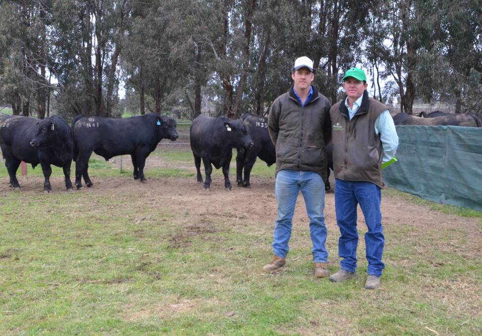 LOYAL SUPPORT: Volume buyer Bob Miller, Coolac Cattle Company, Coolac, with Dirk Ulett, Rennylea Angus, Culcairn.