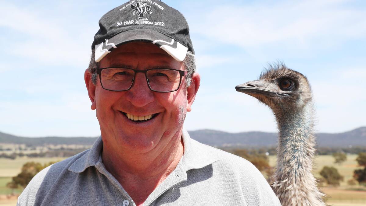 THE EMU EFFECT: While local emu farmer Ian Marston from The Rock, said it is an unpredictable industry, the recent trends and interest in emu oil and the eggs will "push" the industry forward. Picture: Emma Hillier
