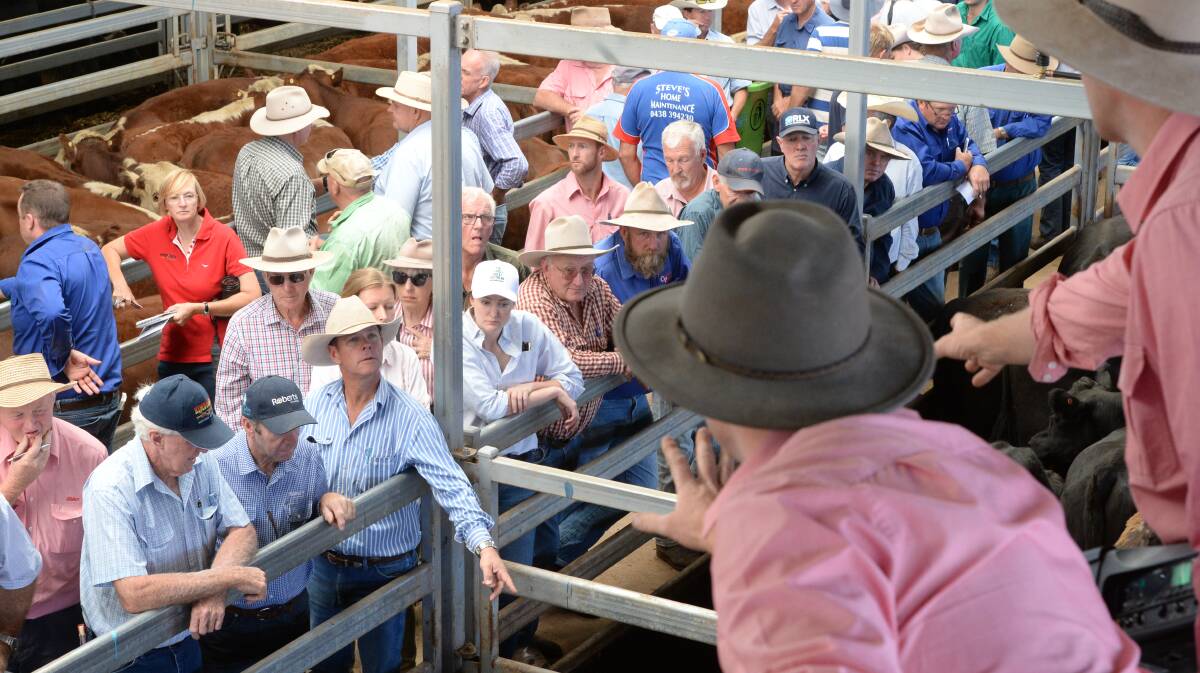 Numbers will be slightly less at Wodonga's run of weaner sales in January.