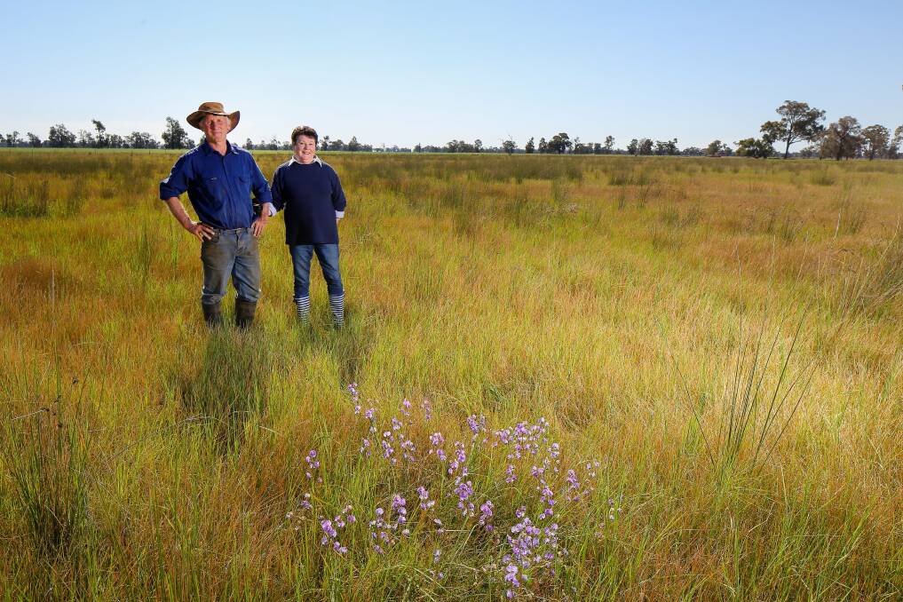 DOING THEIR PART: Bill and Cecile Nixon stand in a recovering wetland on their Savernake property.