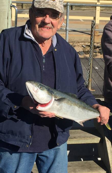 GOOD REASON: Walla fisherman Geoff Hoffmann apparently hasn't stopped talking about this sensational 71 centimetre kingfish he caught up at Narooma.