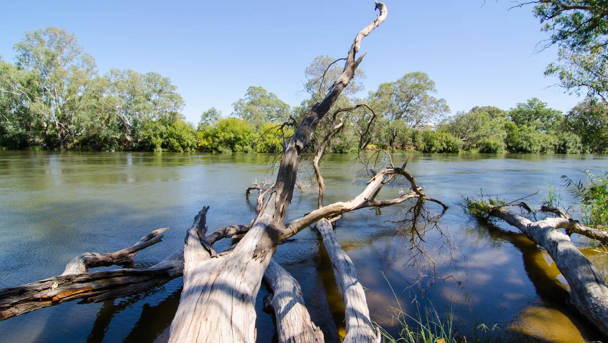 Let's pause the Murray-Darling plan and release environmental water for farmers
