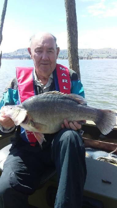 SUPER CATCH: Legendary Wodonga angler Norm Jones shows off a 62cm yellowbelly that he caught out at Lake Hume. Remember that you can send your pictures, along with a few details, to 0475 947 279.
