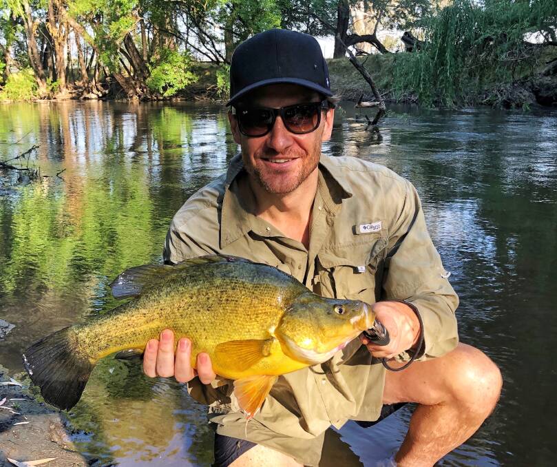 CATCH: Visiting from Melbourne, Richard Hosking slipped down the Kiewa and was pleasantly surprised to land this 50cm yellowbelly on a purple half-ounce spinner bait.
