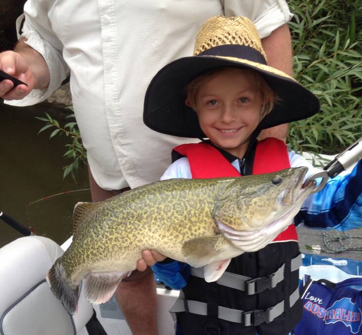 YOU BEAUTY: Nine-year-old Regan Brown caught this ripper of a Murray cod on a large yabbie. There's been reports of some big fish being caught lately.