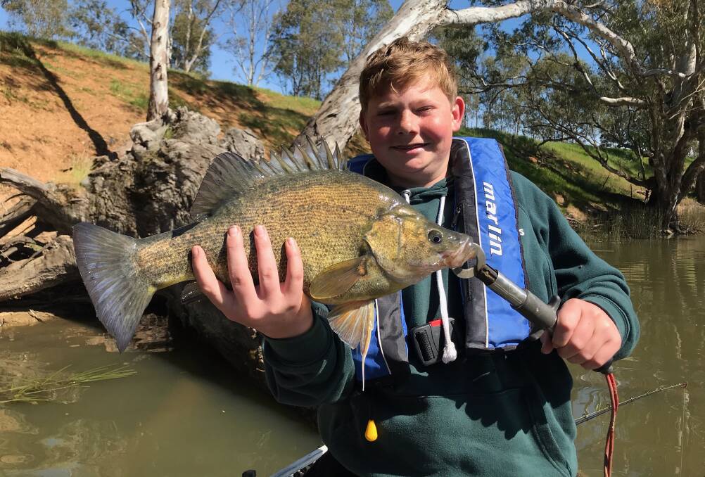 FINE EFFORT: Young fisherman Jaxen Wheeler, from Mulwala, nailed this sensational 50cm yellowbelly while fishing the Murray River recently. Pictures: Supplied
