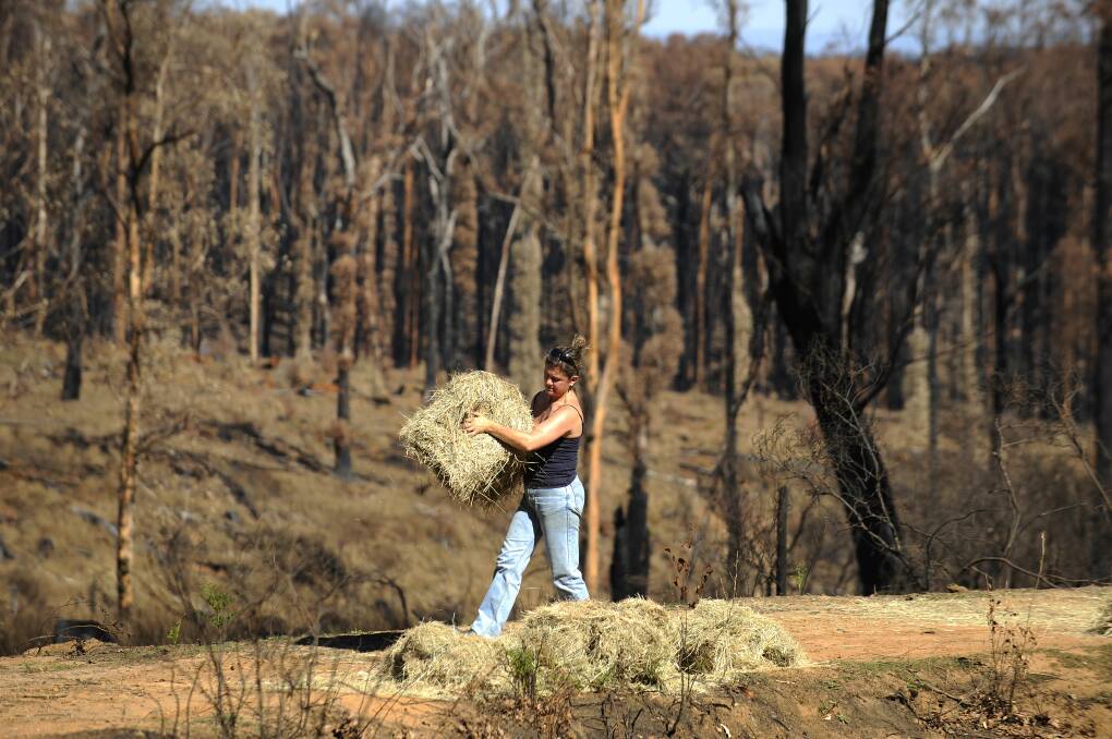 AWARENESS: All livestock owners should ensure that they make adequate preparations well before a bushfire hits. Picture: Pat Scala