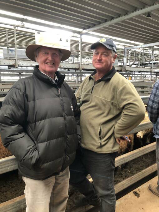 BIG DAY: Looking to purchase at this week's Northern Victoria Livestock Exchange market at Barnawartha were Colin and Ross Coyle. Pictures: SUPPLIED