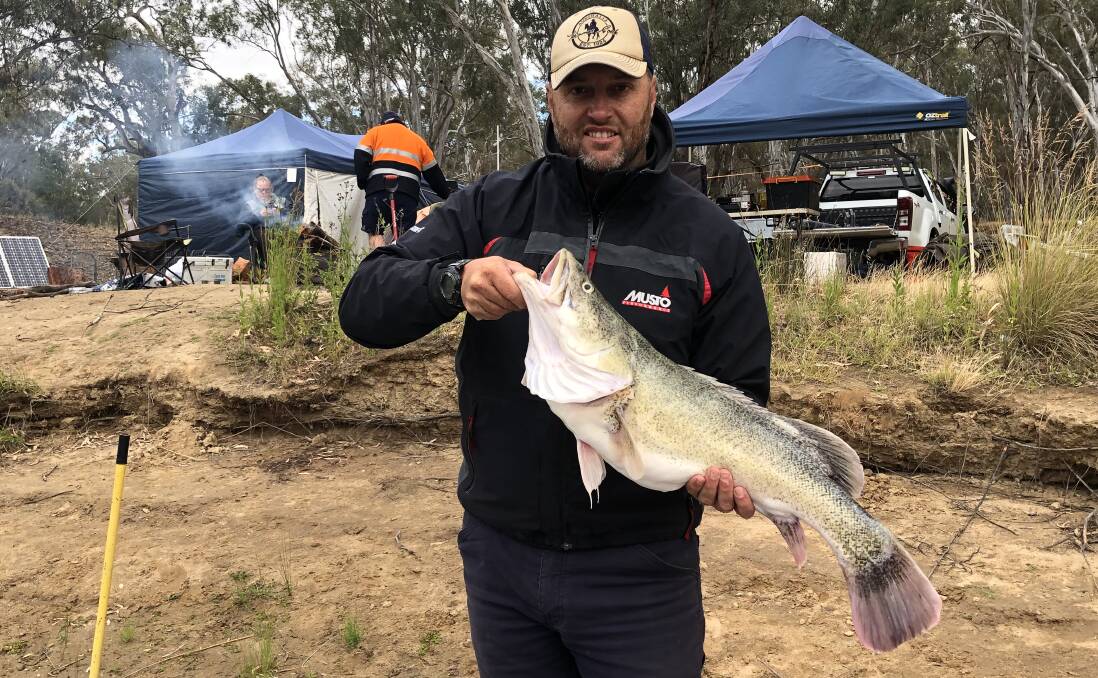 SENSATIONAL: Beechworth angler Troy Dillon had a terrific start to the season, nabbing this 72cm Murray cod on cheese near Devils Bend recently.