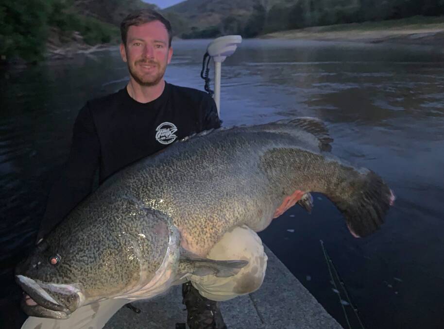 MAGNFICENT: Keen fisherman Josh Read shows off a magic 1.120 Murray cod that he caught on a surface lure in the Upper Murray early on Thursday morning.
