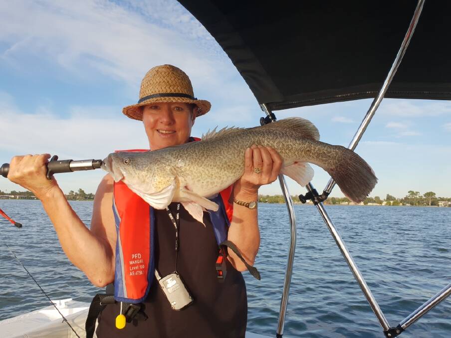 SENSATIONAL: Janice Gardiner caught her biggest cod to date (68cm) at Mulwala. It was one of seven she landed. Her husband Colin managed a couple. Send your pictures, along with a few details, to 0475 947 279 or 0475 953 605.