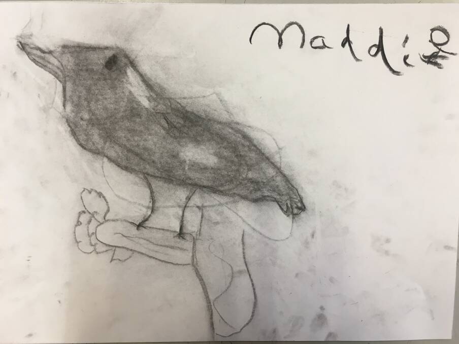 BIRD CALL: Drawing of a magpie by eight-year-old Maddie Prentice.