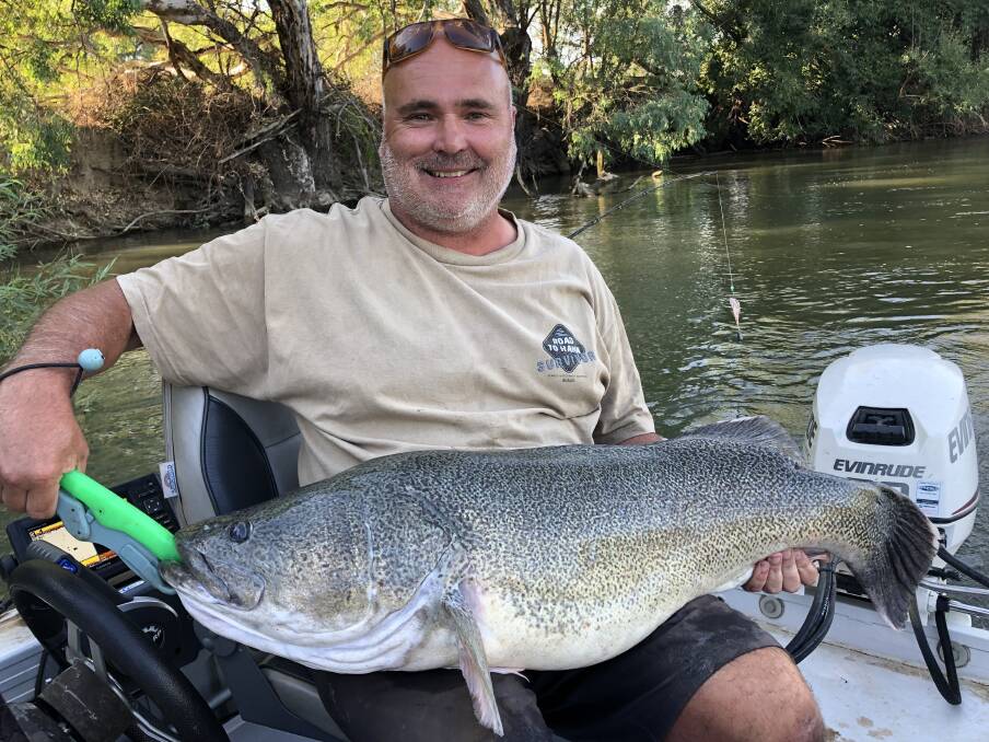 MONSTER: Emmerick Teissl of Chiltern's Black Dog Fishing Club caught and released this 105cm beauty while fishing the Murray River over near Howlong.
