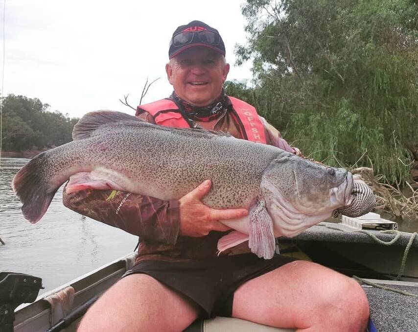 SUPER EFFORT: Old mate Dennis caught this 97.5 centimetre beauty while fishing from a boat on the Murrumbidgee River recently.