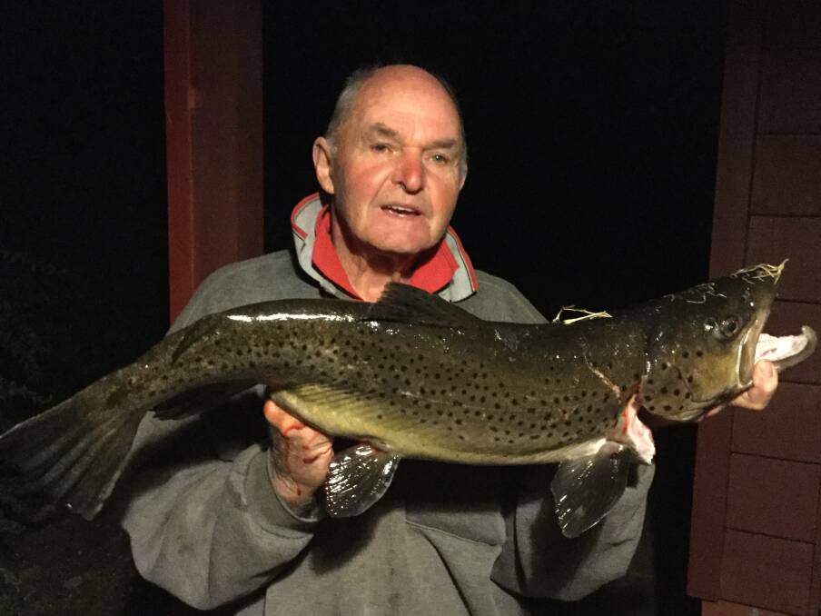 YOU BEAUTY: Murray Beaton shows off an 80cm brown trout that he caught in the Kiewa River on Saturday night. Weighing in at 9.25lb, it was caught on a fly. 