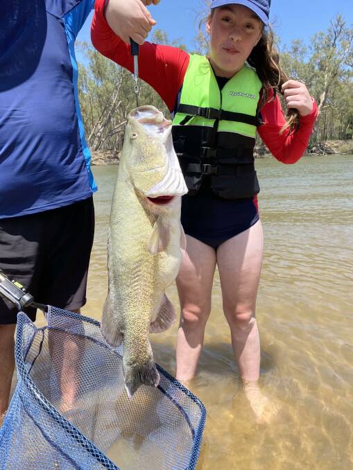 FIND: Olivia Smith, 12, caught this cod below Mulwala. Fishing with her sister Issy and grandparents, a golf ball was found in the net and another in the fish's mouth. 