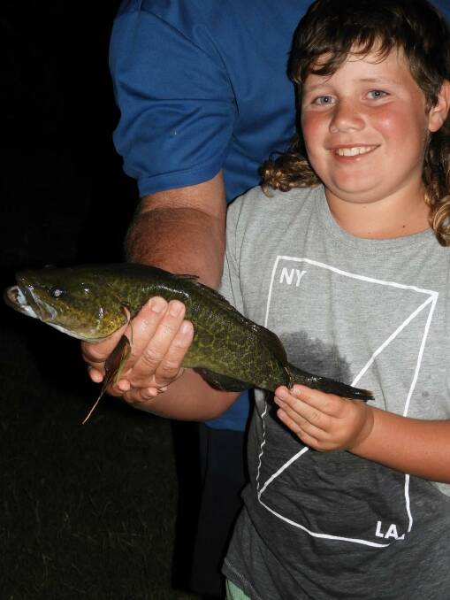 YOU BEAUTY: Young Mitchell Clarke, 10, caught and released his first cod on January 10. The 41cm fish was caught on worms in the King River at Whitfield.