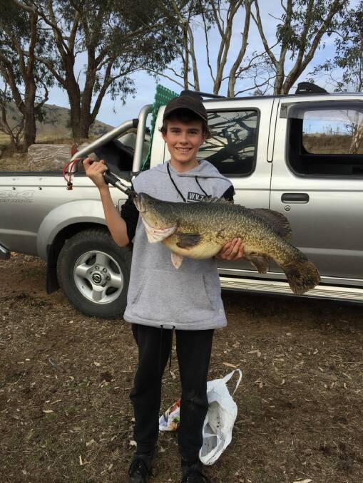 EFFORT: Young Jake Power caught this lovely 6.5kg cod while cutting wood on the Murray River. A few cod are being nabbed below Albury and above Hume. 