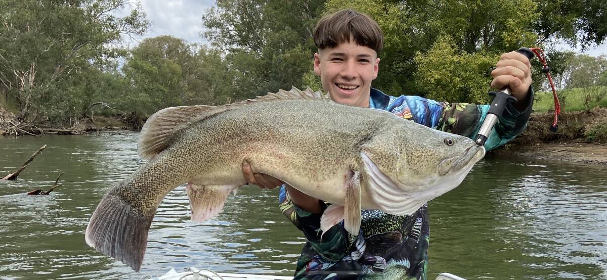 SENSATIONAL CATCH: Tom Conallin was all smiles after nailing this beautiful-looking Murray cod near Albury on Sunday. Caught on cheese, it measured in at 98.5 centimetres.