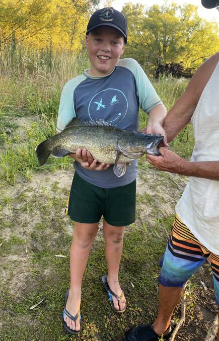 LITTLE RIPPERS: Tallangatta twins Finn and Brady Butler, 11, caught and released 96cm and 64cm cods while fishing off the bank of the Mitta River recently. Finn's arms were too tired to hold his catch up. Pictures: Supplied