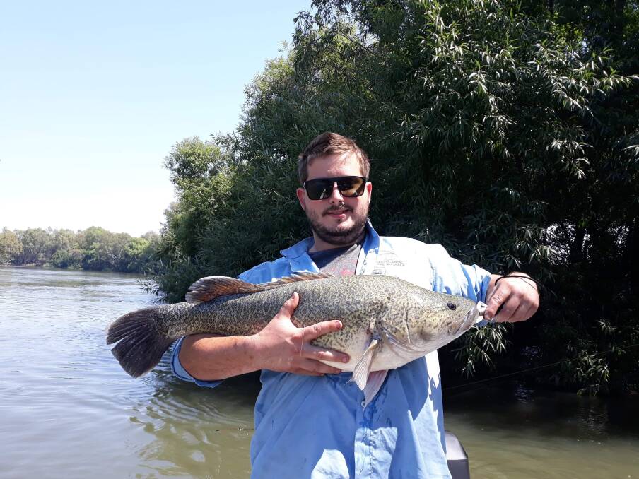 YOU BEAUTY: Jordan Altmeier caught this magnificent specimen while fishing near the Kremur Street boat ramp. It measured in at 82cm. Remember to send your pictures, along with a few details, to 0475 947 279 or 0475 953 605.