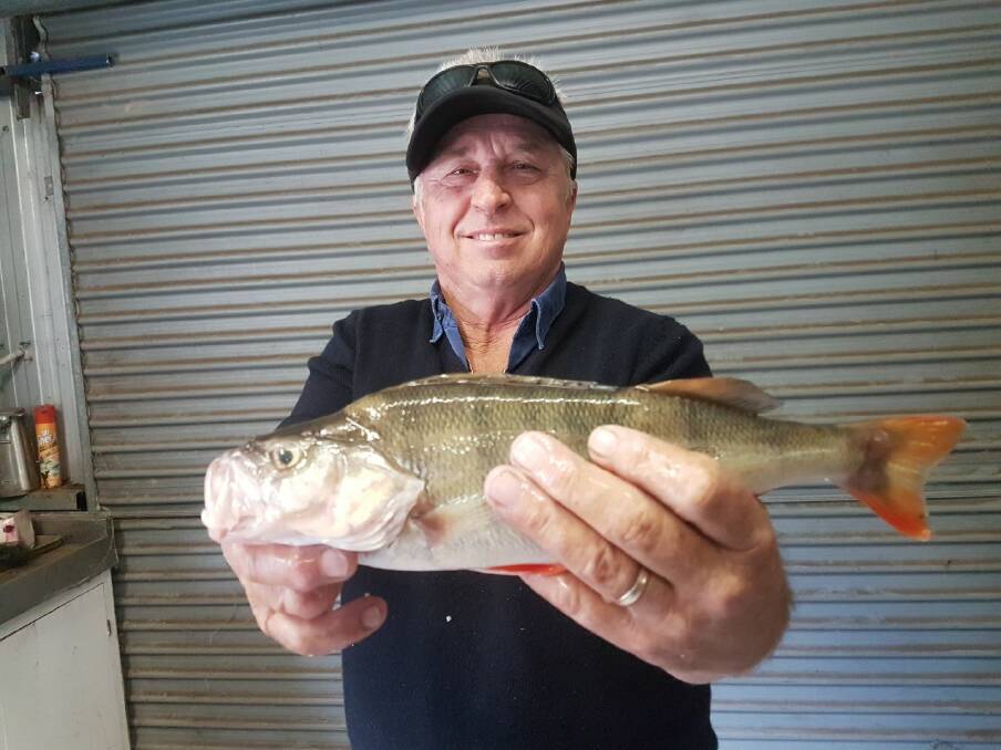 WIN: Ken Rowston braved the cold and nailed 40 around the 30cm mark and a couple almost 40cm at Hume. He was using scrubbies and Tassie tiger orange spawn plastics.
