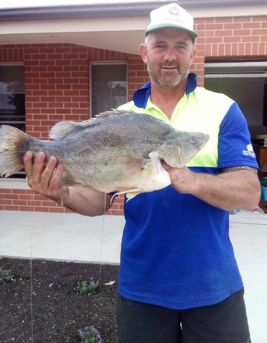 YOU BEAUTY: A happy Andrew Harvey shows off a 60cm yella he caught off the bank at Lake Hume recently. Remember to send your fishing pictures, along with a few details, to 0475 953 605 or 0475 947 279.