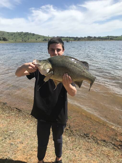 RIPPER CATCH: Wodonga's Bradyn Coulston, 15, nailed this beautiful yellowbelly, going about 11lbs, at the Bethanga bridge. It was caught on scrub worms.