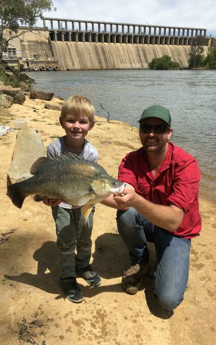 RIPPER: Hadley Luke O'Keefe and his dad caught this 58cm yellowbelly below the weir wall, using the biggest yabbie he could find in the bucket. Remember to send your pics, along with a few details, to 0475 947 279.