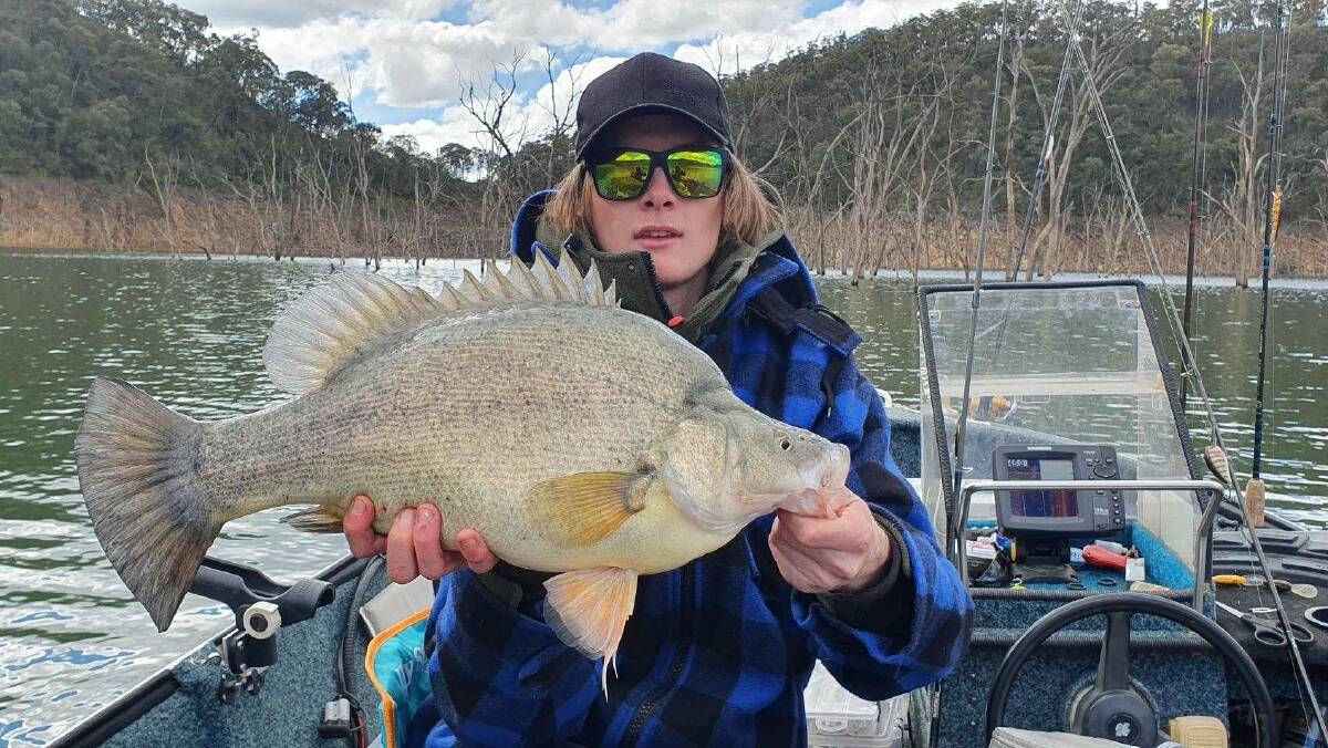 RIPPER: John Moncrieff was happy after landing this yellowbelly at Lake Eildon. The beautiful looking fish measured in at 57 centimetres. Remember to send your pictures, along with a few details, to 0475 947 279 or 0475 953 605.