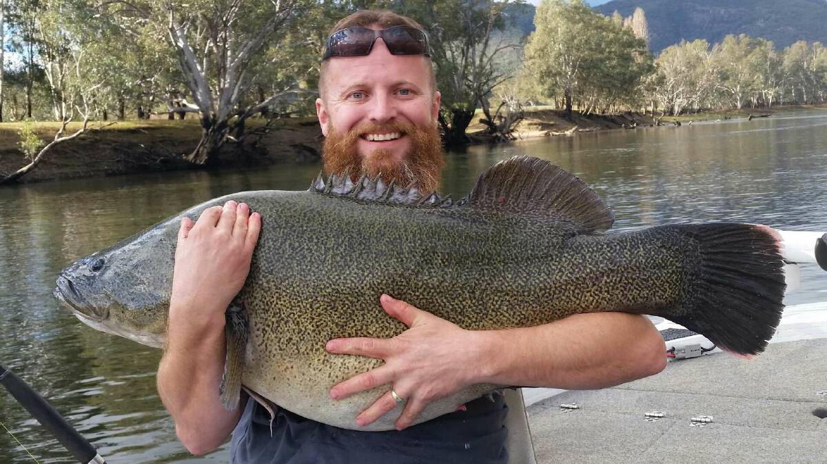 HOLY GRAIL: Mick Phegan of Thurgoona is a happy man indeed - after 12 years of casting, he's finally hit the 1 metre mark with this magnificent Murray cod.