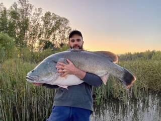 BIG WHOPPER: Ben Prescott caught and released this tremendous cod while fishing over at Bundalong on Saturday. It measured 122cm. Picture: Supplied