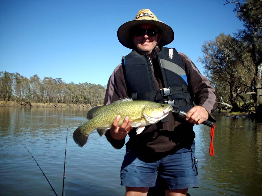 RELEASED: Peter Shipard landed a 53cm Murray cod on opening day while fishing on the Murray River with his father John. They were about one kilometre downstream from the boat ramp at Doctors Point, Albury. 