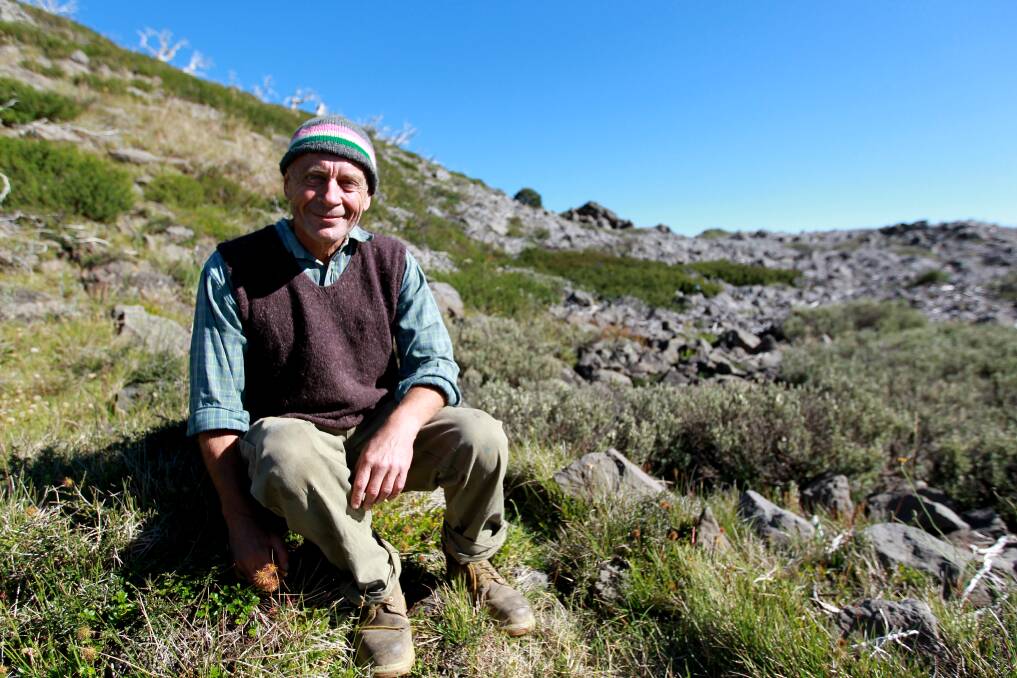 La Trobe University adjunct professor Ian Mansergh in the Victorian Alps in front of the basalt habitat of the possum.