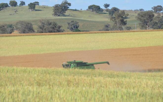 CRITICAL NEED: More water is urgently to finish winter crops in southern NSW.