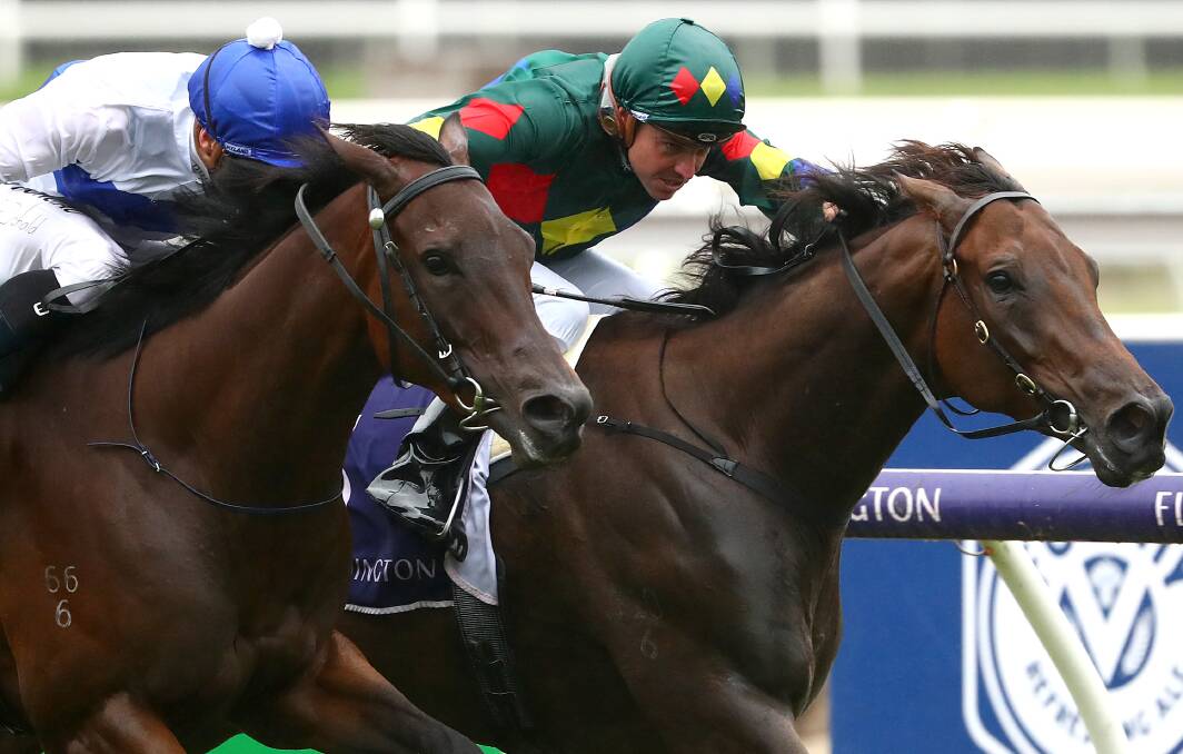 CLASSIC: Alligator Blood holds on to beat Catalyst at Flemington.