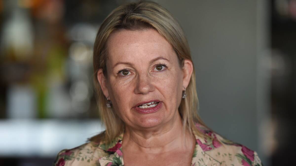PAY PLEA: Sussan Ley wanted subcontractors compensated.